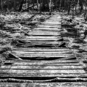 Image of a wooden path, blending simplicity and elegance