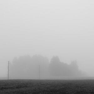 A misty field captured in a black and white photograph