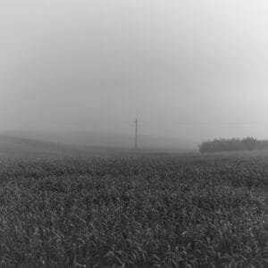 A misty field captured in a black and white photograph