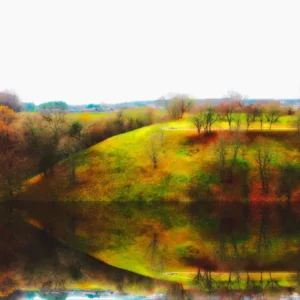 Drone photo of trees mirrored in a serene lake