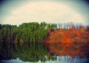 A serene lake surrounded by lush trees