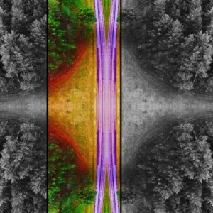 An image of a road enveloped by trees, rendered in monochrome