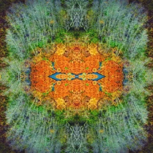 Tree with abstract foliage design