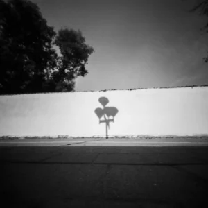 Black and white photo of street lamp silhouette