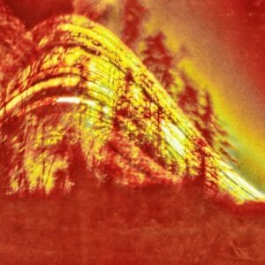 A vibrant wood with red and yellow hues, standing against a backdrop of changing sun paths over six months